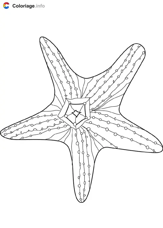 Coloriage Étoile de mer 2 - Océan à imprimer