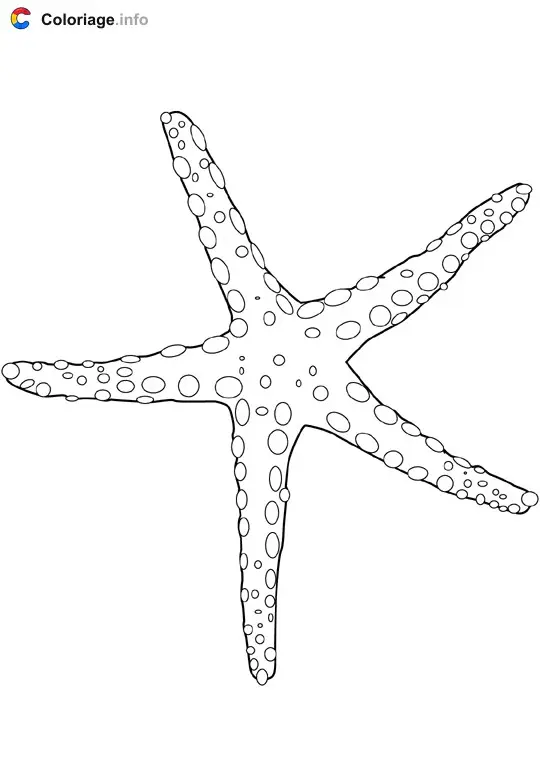 Coloriage Étoile de mer - Océan à imprimer