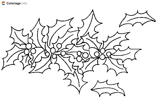 Coloriage Feuille de houx pour Noël - Plantes à imprimer