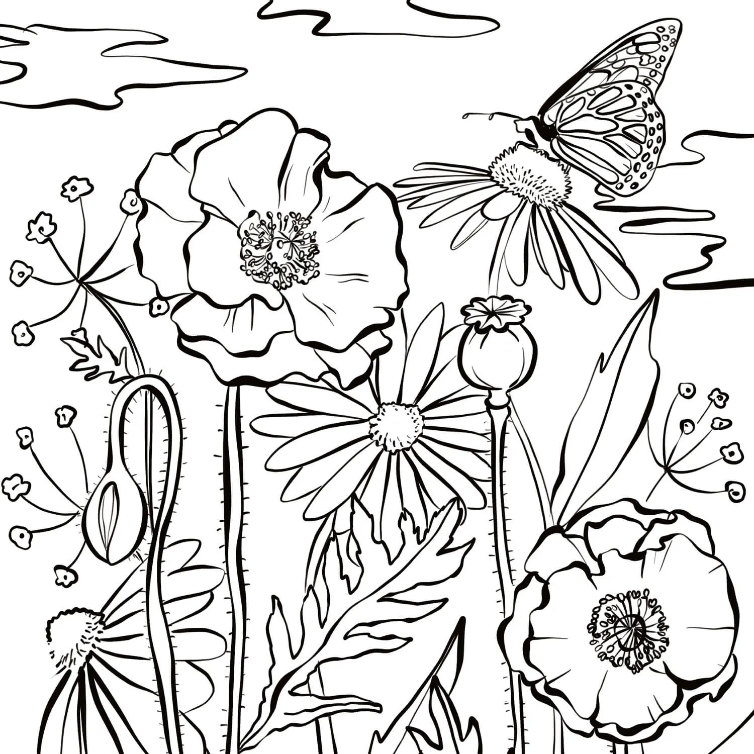 Coloriage Fleurs Tulipes Et Tulipa Pulchella - Tulipe à imprimer