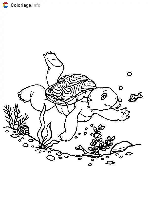 Coloriage Franklin 003 - Franklin à imprimer