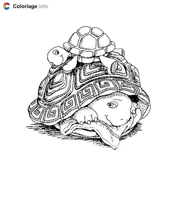 Coloriage Franklin 007 - Franklin à imprimer