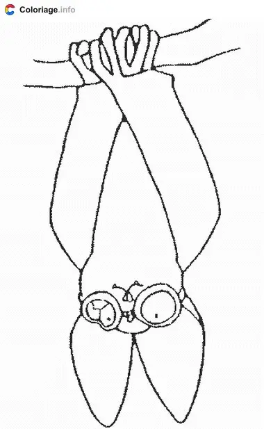 Coloriage Fufu - Sagwa à imprimer
