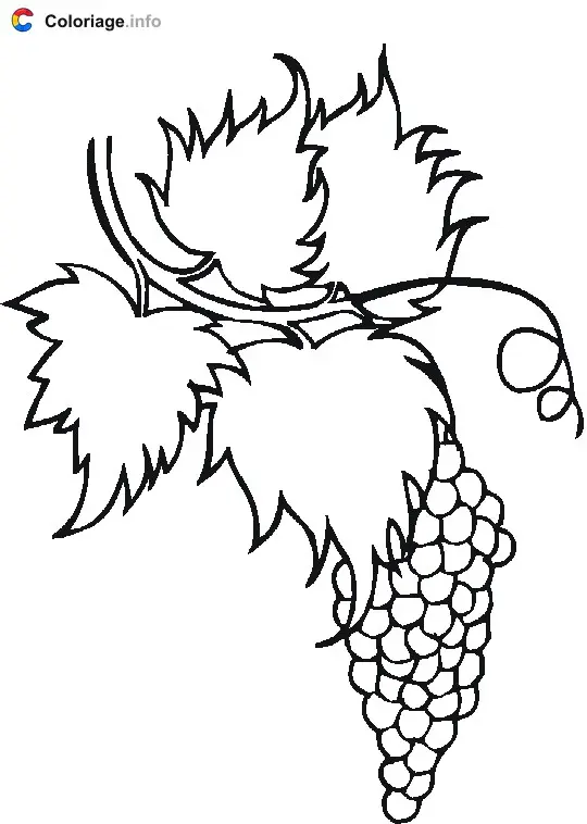 Coloriage Grappe de raisin - Raisin à imprimer