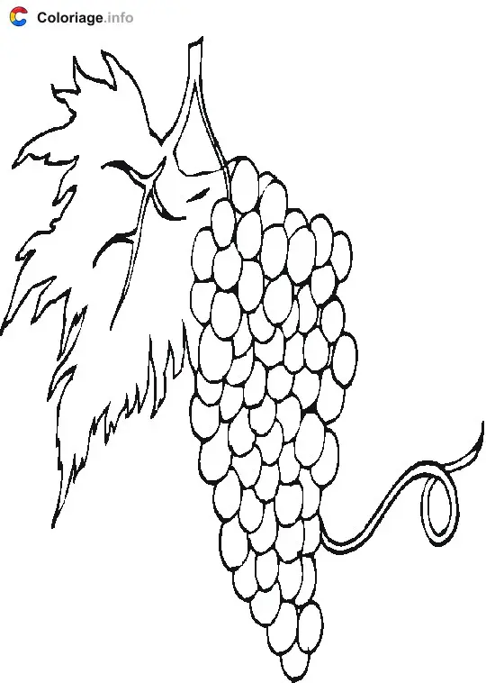 Coloriage Grappe de raisins - Raisin à imprimer