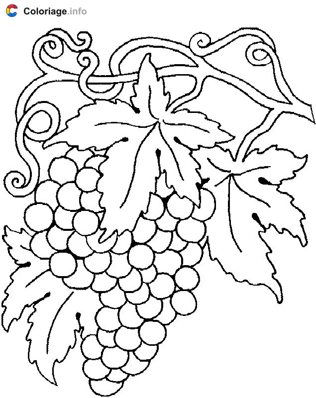 Coloriage Grappes de raisins - Raisin à imprimer