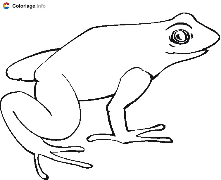 Coloriage Grenouille à colorier - Grenouille à imprimer
