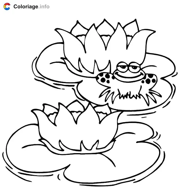 Coloriage Grenouille avec des nénuphars - Grenouille à imprimer