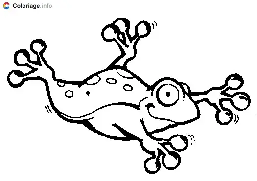 Coloriage Grenouille en plein saut - Grenouille à imprimer