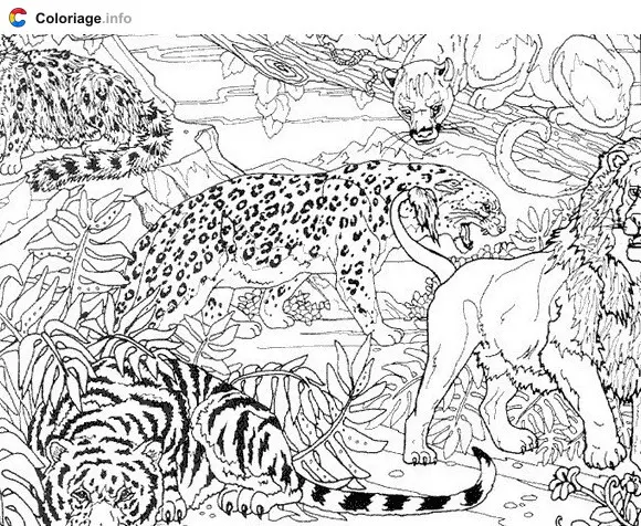 Coloriage Guépard tigre et lion dans la jungle - Guépard à imprimer
