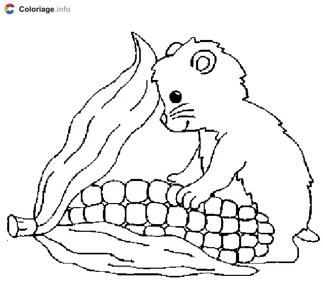 Coloriage Hamster qui veut manger du maïs - Hamster à imprimer
