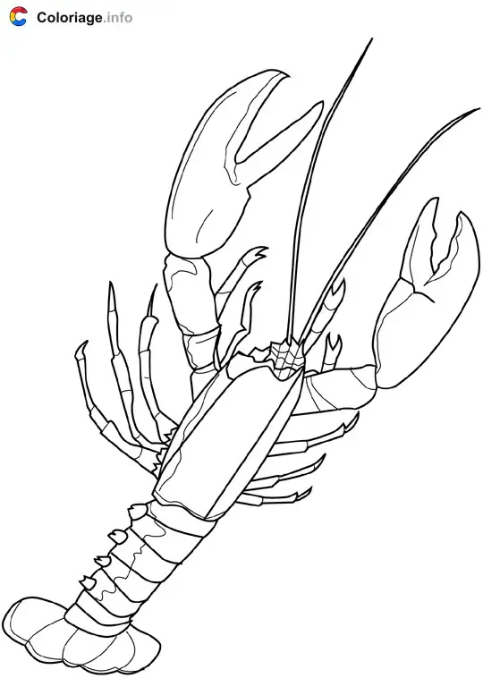 Coloriage Homard - Crustacés à imprimer