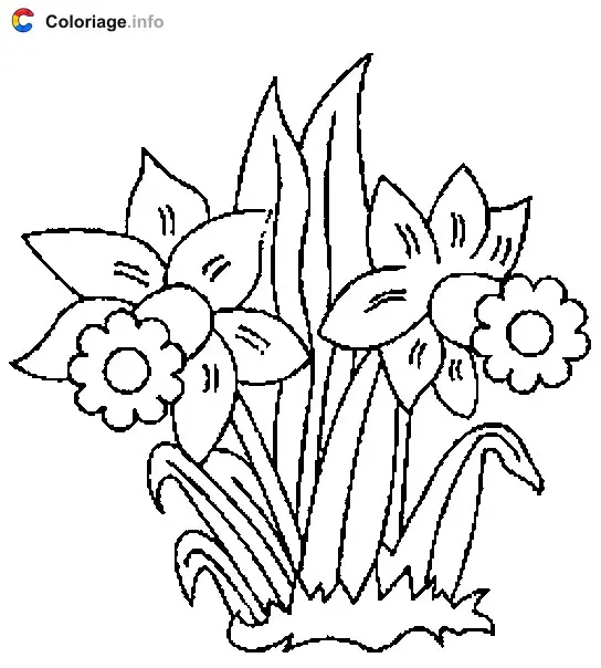 Coloriage La jonquille symbole du désir - Plantes à imprimer