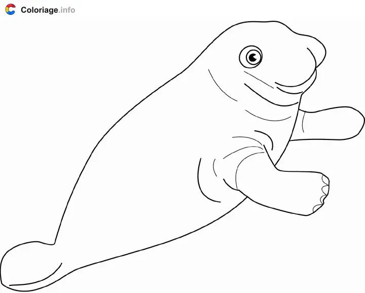 Coloriage Lamantin - Phoque à imprimer