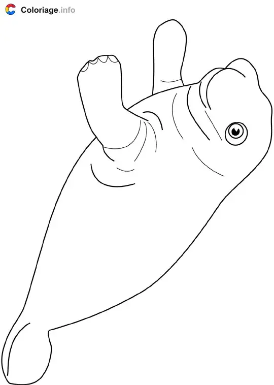 Coloriage Lamantin - Océan à imprimer