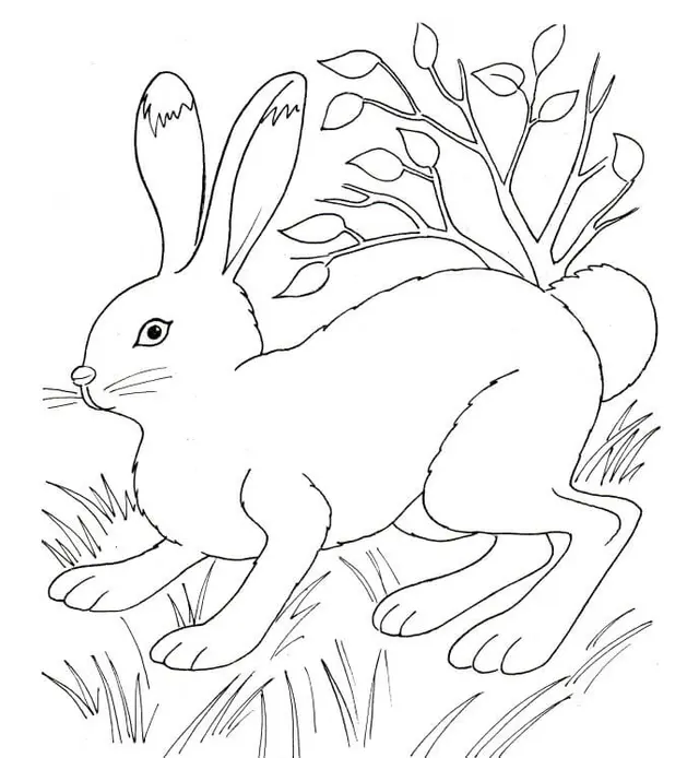 Coloriage Lapin Dans La Nature Près De La Vegetation - Lapin à imprimer