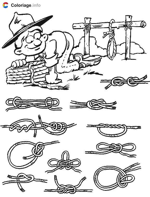 Coloriage Les nœuds scout - Scout à imprimer