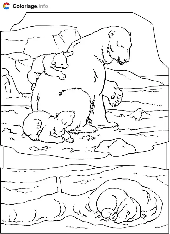 Coloriage Les ours blancs - Ours à imprimer