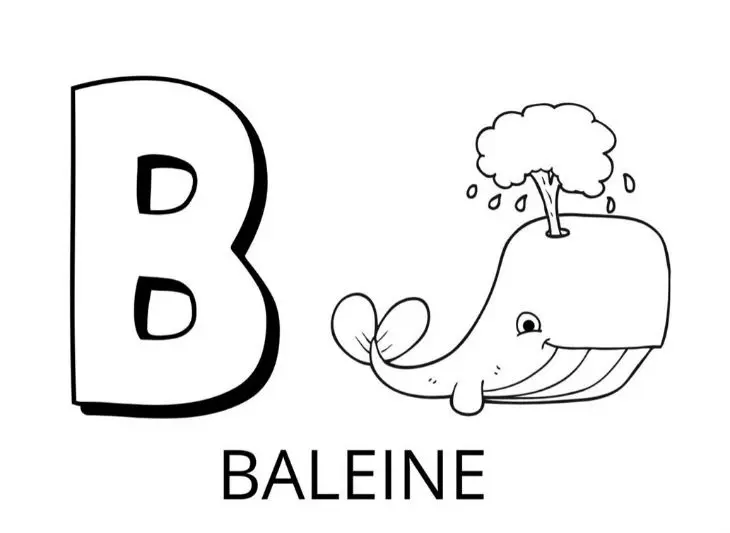 Coloriage Lettre B Comme Baleine - Alphabet des animaux à imprimer
