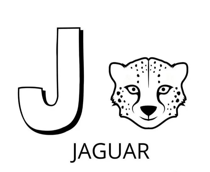 Coloriage Lettre J Comme Jaguar - Alphabet des animaux à imprimer