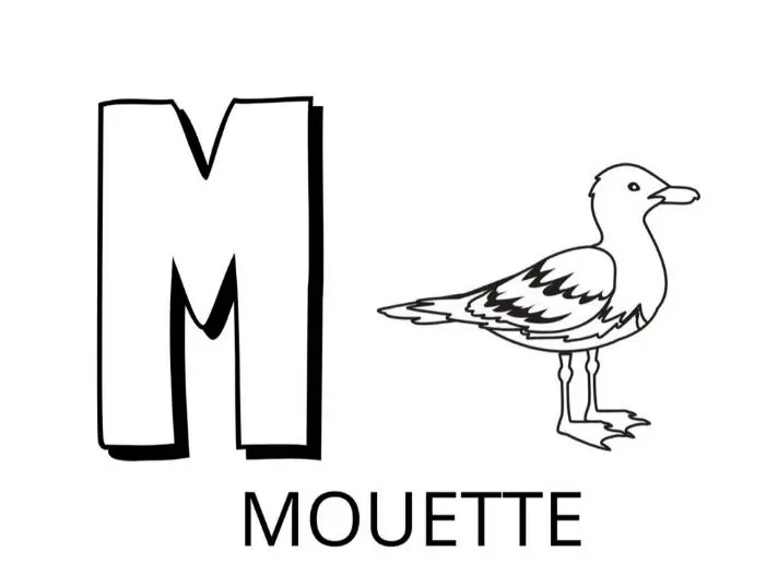 Coloriage Lettre M Comme Mouette - Alphabet des animaux à imprimer