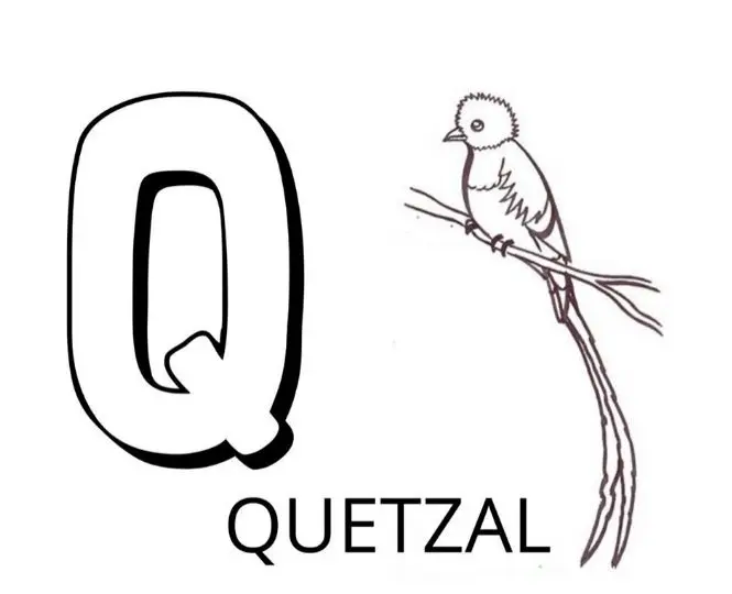 Coloriage Lettre Q Comme Quetzal - Alphabet des animaux à imprimer