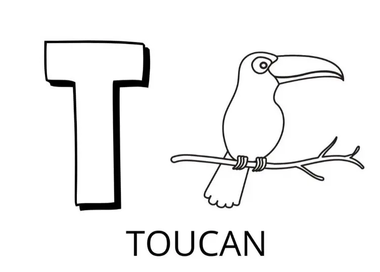 Coloriage Lettre T Comme Toucan - Alphabet des animaux à imprimer