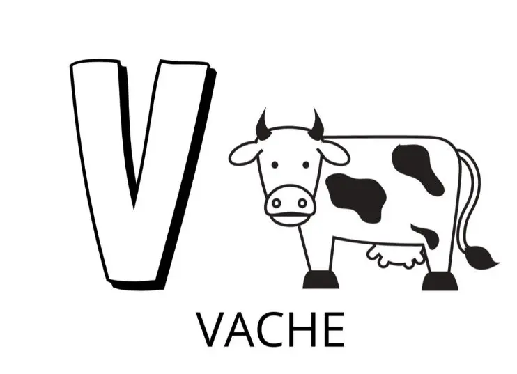 Coloriage Lettre V Comme Vache - Alphabet des animaux à imprimer