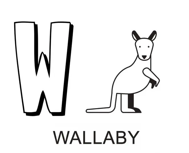 Coloriage Lettre W Comme Wallaby - Alphabet des animaux à imprimer