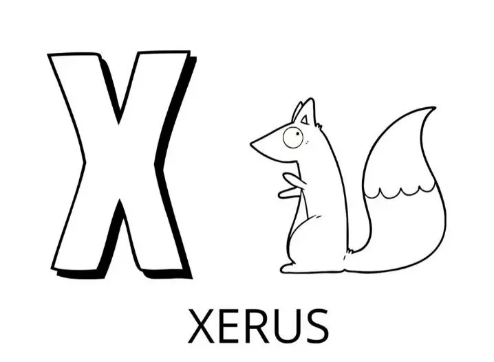 Coloriage Lettre X Comme Xerus - Alphabet des animaux à imprimer