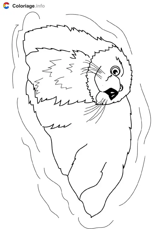Coloriage Loutre de mer - Océan à imprimer