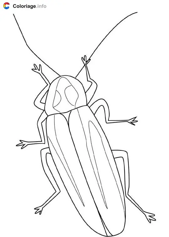 Coloriage Luciole - Insectes à imprimer