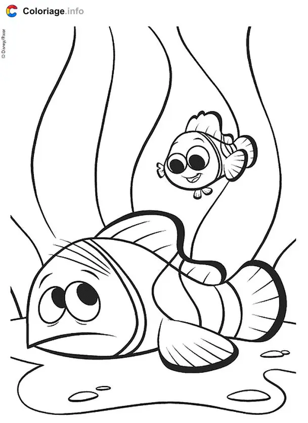 Marlin and Nemo in the Seaweed coloring page to print