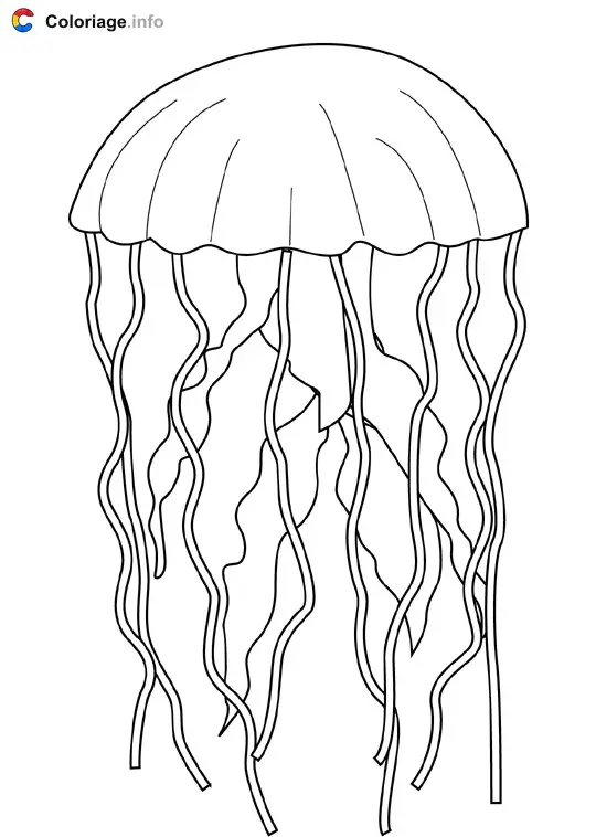 Coloriage Méduse - Océan à imprimer