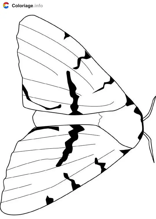 Coloriage Mite de bohémien - Insectes à imprimer