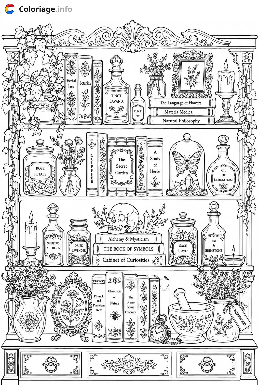 Coloriage Monochrome L'étagère de la sorcière botaniste - Monochrome à imprimer