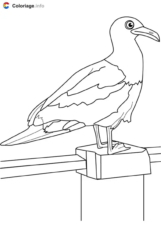 Coloriage Mouette 2 - Océan à imprimer