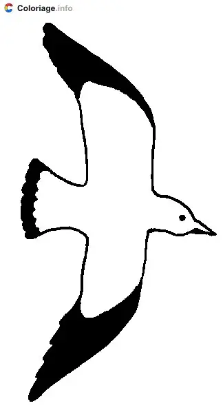 Coloriage Mouette qui vole - Marin à imprimer