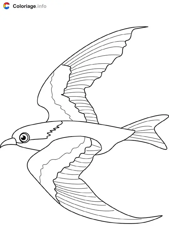 Coloriage Mouette - Océan à imprimer
