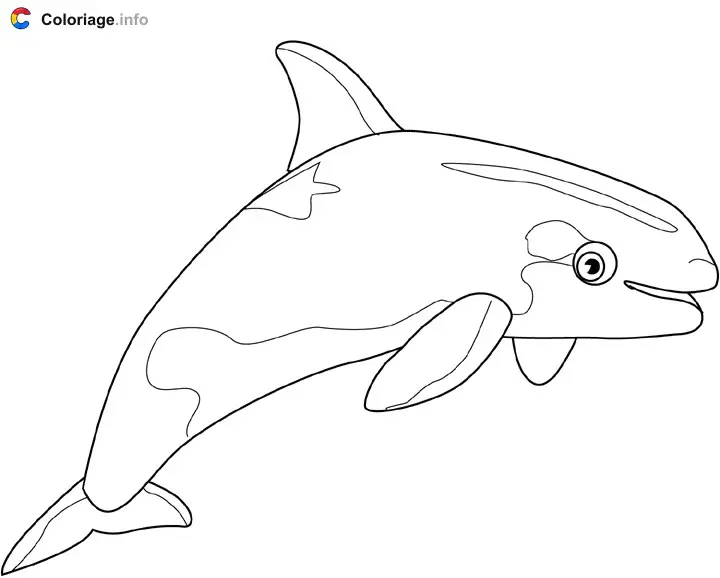 Coloriage Orque - Baleines à imprimer