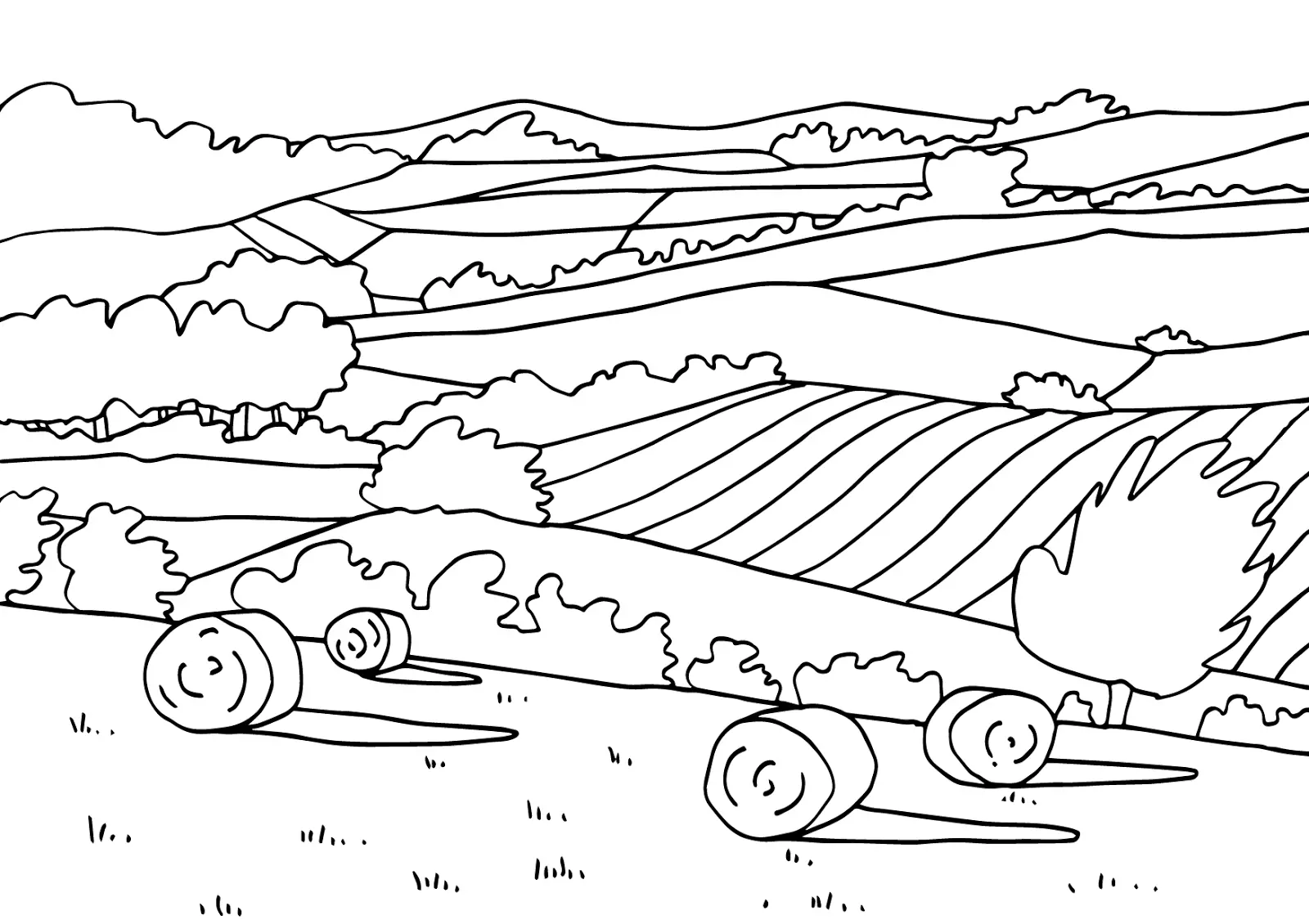 Coloriage Paysage Naturel Plaines - Nature à imprimer