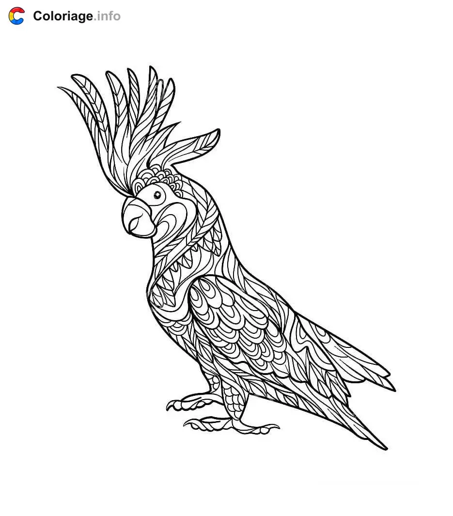 Adult Parrot Zentangle Anti-Stress coloring page to print