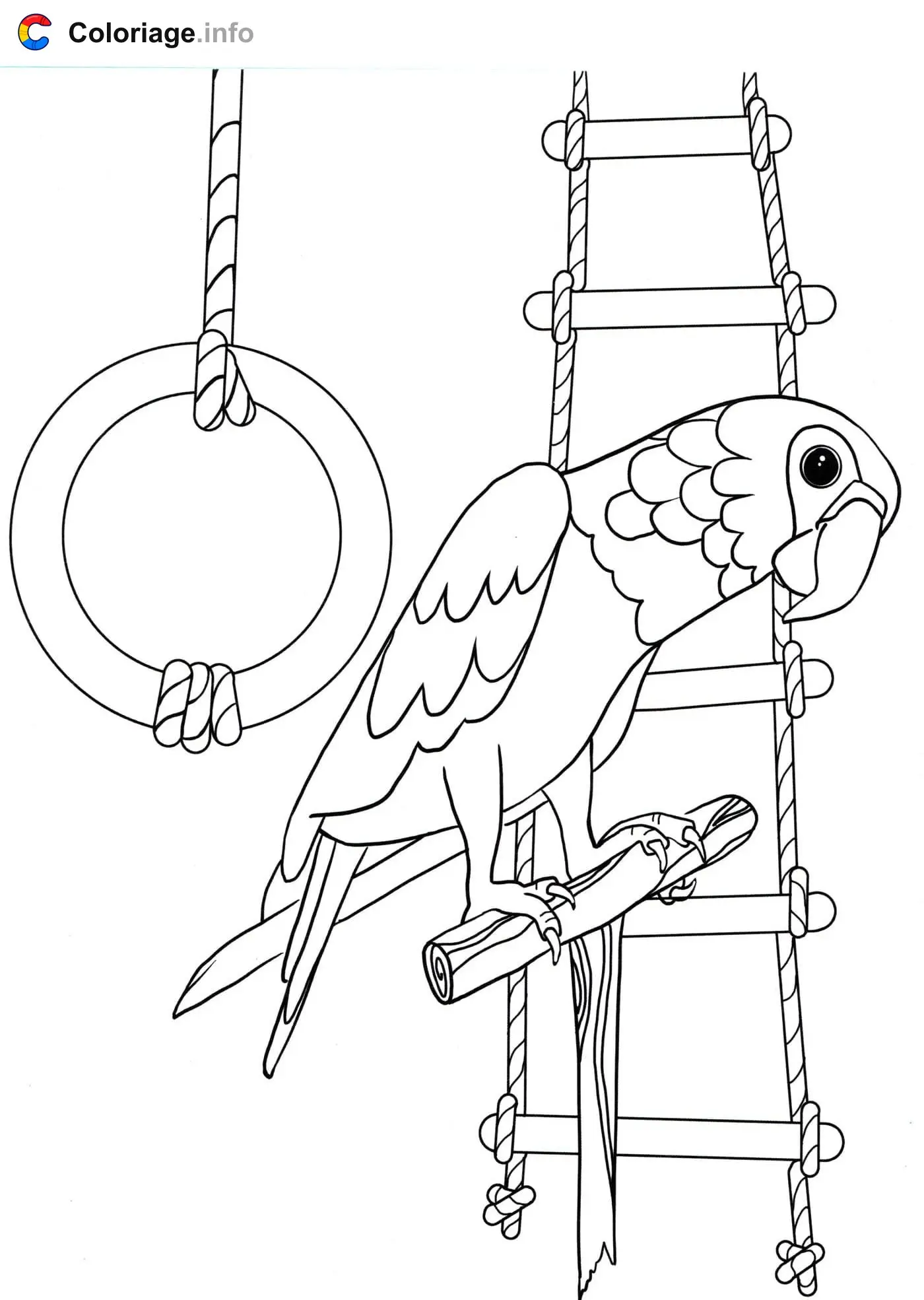 Parrot Loves to Play coloring page to print