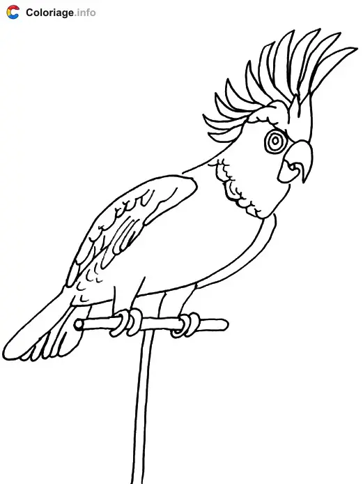 Parrot with a Crest coloring page to print