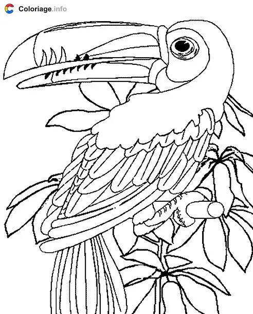 Parrot in the Jungle coloring page to print