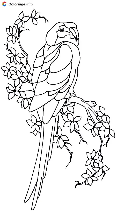 Parrot and Leaves coloring page to print