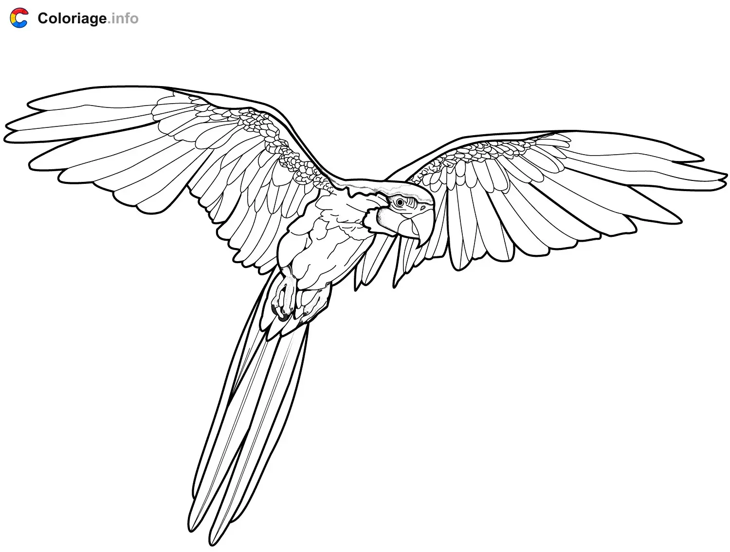 Exotic Parrot Bird coloring page to print