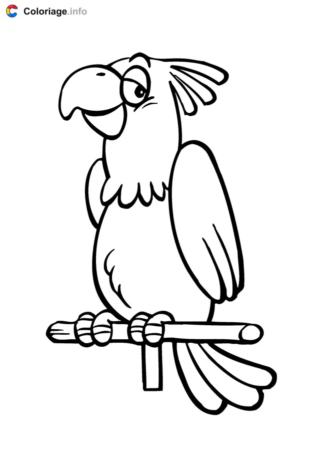 Coloriage Perroquet oiseau qui aime chanter - Perroquet à imprimer