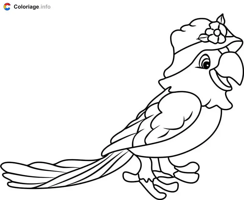 Parrot Wearing a Fancy Hat coloring page to print