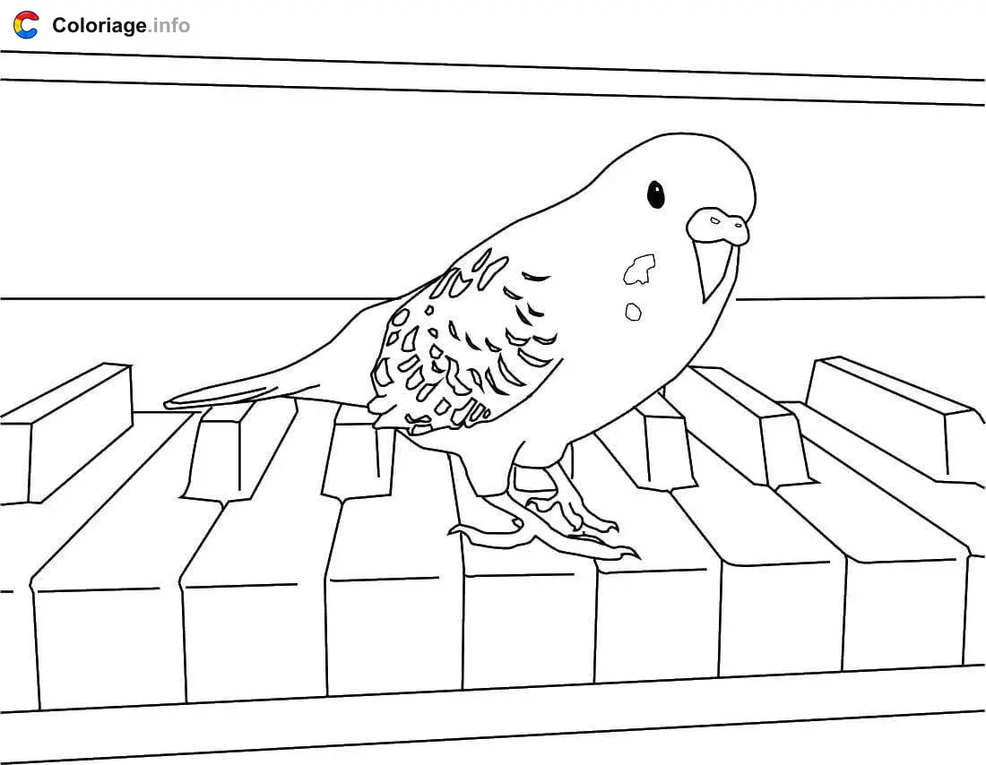 Parrot on a Piano coloring page to print
